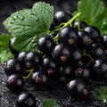Blackcurrant
