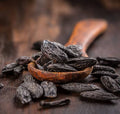 Tonka Bean