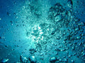 Aquatic Notes