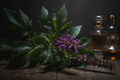 Patchouli