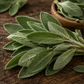 Sage